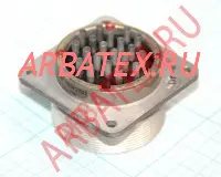 СШРГ48П20ЭШ2 вилка блочная фото