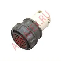 ОНЦ-РГ-09-24/30-Р6 фото